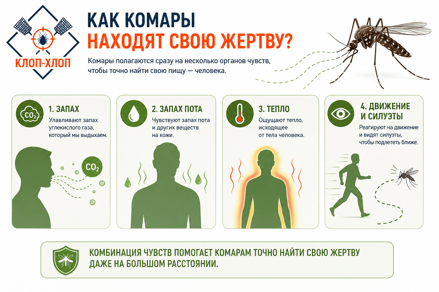Как комары находят свою жертву: зрение, запах и тепло